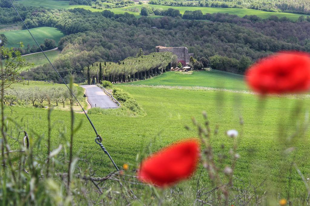 Agriturismo Castello Di Belforte Todi Exterior photo